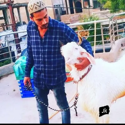 jameel khan JK profile