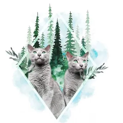 Mya&James profile