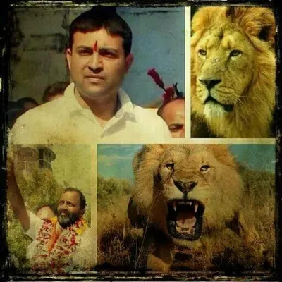 જામકંડોરણા જેતપુર વિધાનસભા profile