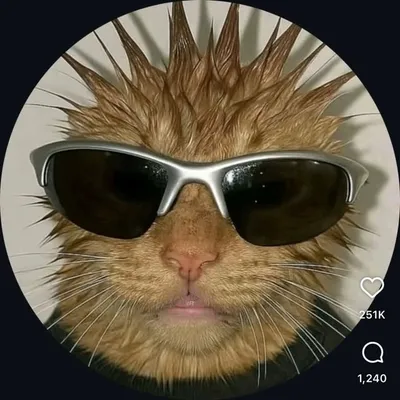 ๐๐จ๐ฎ๐ซ๐๐ฏโ ๏ธ profile