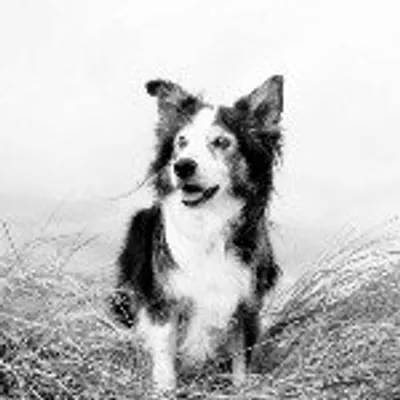 Janet Baxter profile