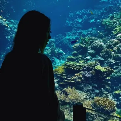 janedean profile