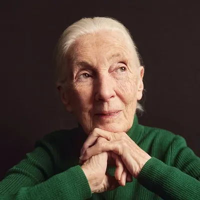 Dr. Jane Goodall profile