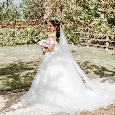 Jane Lam-Lloyd profile