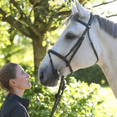 Janne Meyer-Zimmermann profile