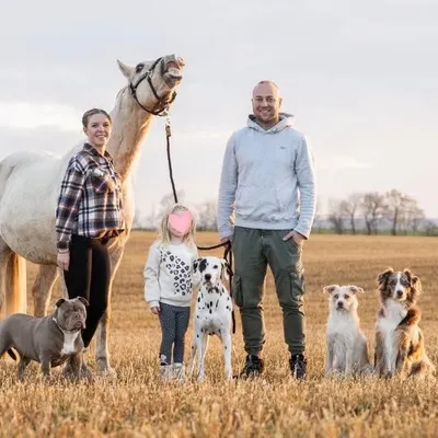DOGLIFE | FAMILY | CHAOS profile