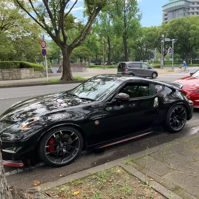 char_Z profile