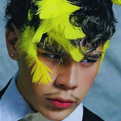 Jared Daniel profile