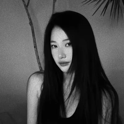 dtay profile