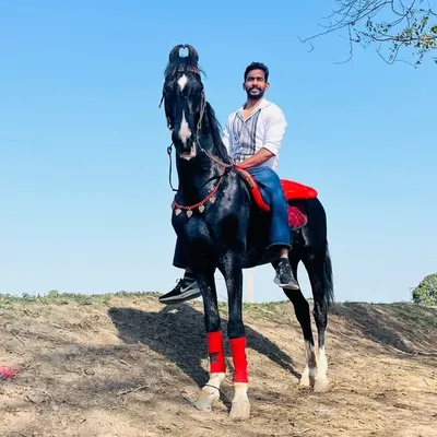 Jaspal Dandiwal profile