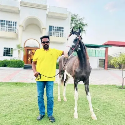 👑 Badshah 👑 bolte👑 profile