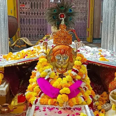 જય અલખ profile