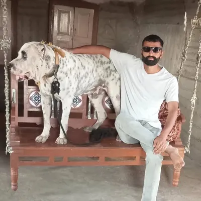 jaydeep_kathi profile