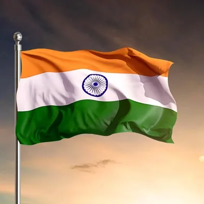 JAYDIPSINH VADHER profile