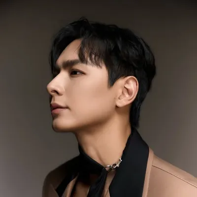 Nguyễn Quân profile