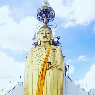 Elder millenial solo travel profile