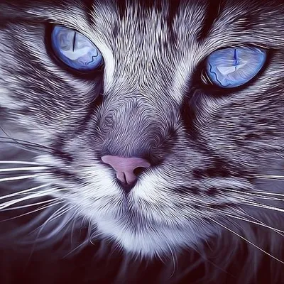 ✪💞Cat's lover's💞✪ profile