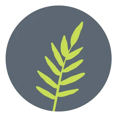 Jewish Community Foundation profile