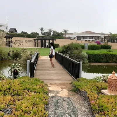 Digital Nomad profile