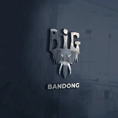 BANDONG profile