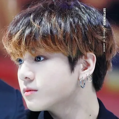 profile