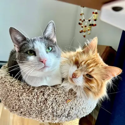 Jerry & Ellie profile
