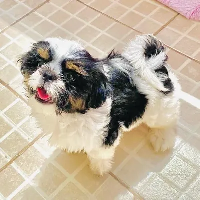 Jerryyyy!๐ค profile