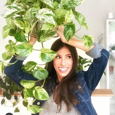 Jess✨plants & home profile