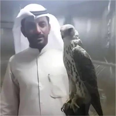 فهد النوط ((ابو حمود)) profile