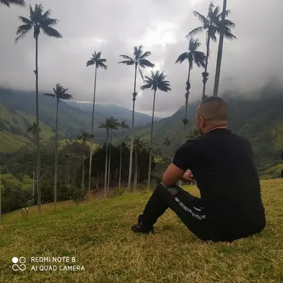 JHON ALEX ZEMANATE profile