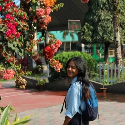 Snehana profile