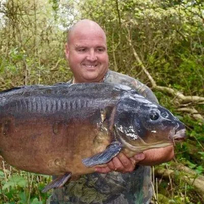 Jim Shelley profile
