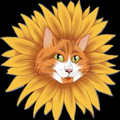 🧡☀️Jimmy’s Sunshine Report☀️🧡 profile
