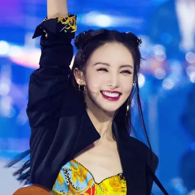 金晨 profile