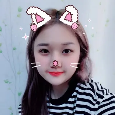 해피고 profile