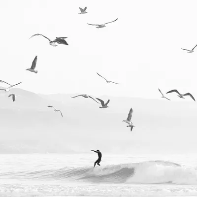 The Waves Between profile