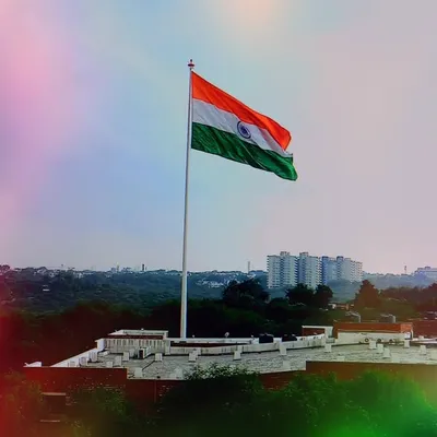 JNU PHOTOGRAPHY CLUB profile
