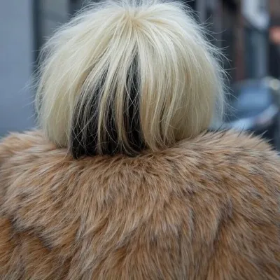 Joanne