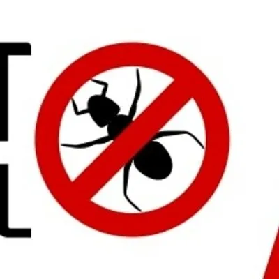 Jodhpur Pest Control Rajasthan profile