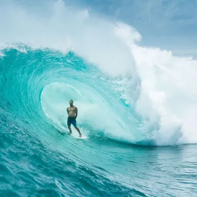 Joel Parkinson profile