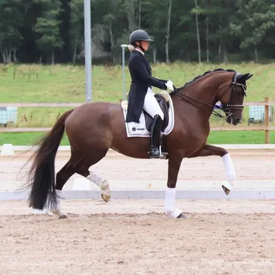 Johanna Due-Boje profile