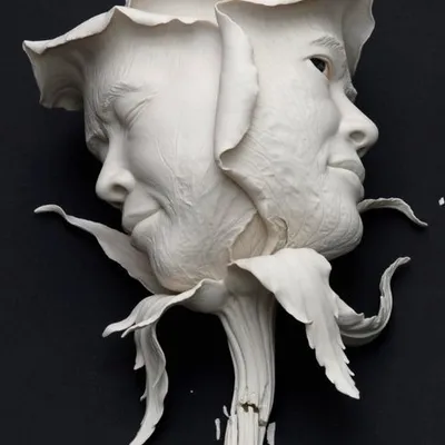 Johnson Tsang profile