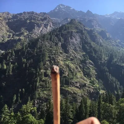Joint With A View profile