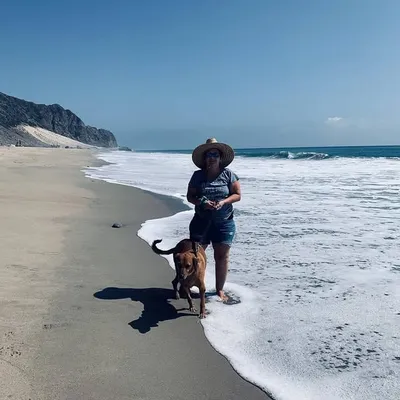 Judy D (the dog and cat mom)๐พ profile