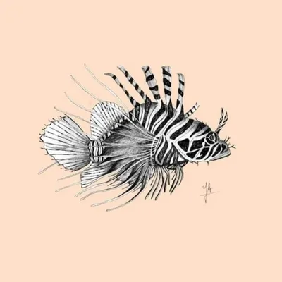 Atelier Jolien Art profile