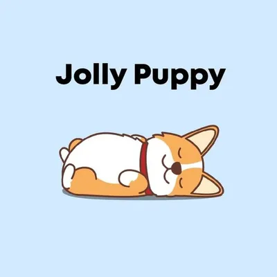 Best Puppy Memes on IG profile