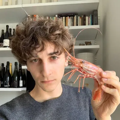 Jonah Reider profile