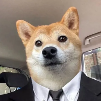 WIERGO profile