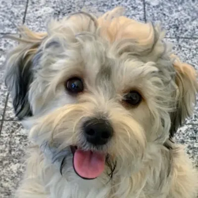 Jordi 🐾 profile