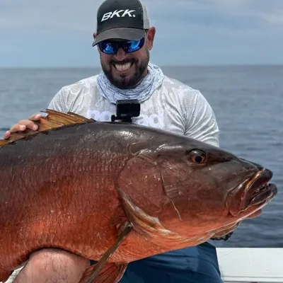 Jorge Acosta - Pesca profile